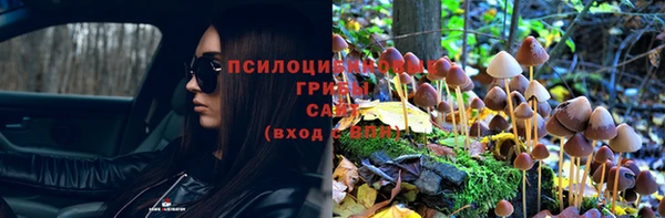 ECSTASY Каменногорск