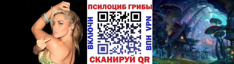 ссылка на мегу маркетплейс  Снежногорск  Галлюциногенные грибы Cubensis 